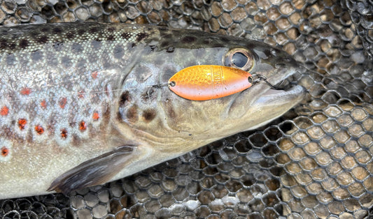 UL-Fischen für Einsteiger🎣 Das musst du wissen, bevor du loslegst