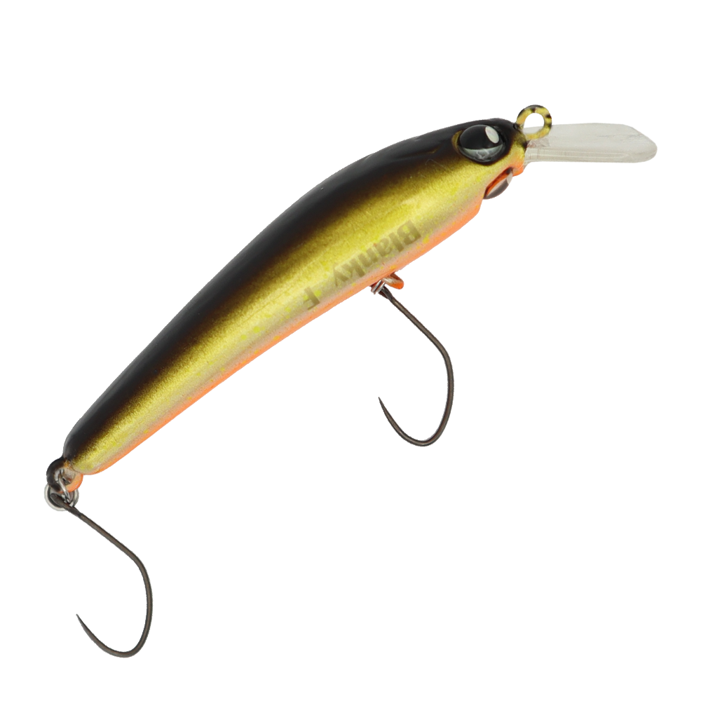 ROB Lure - Blanky 65F - EM07